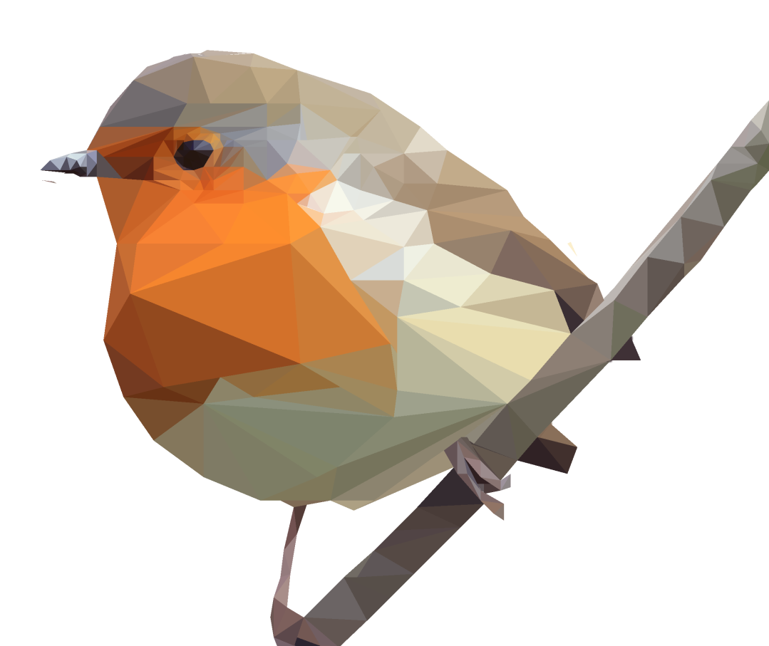 Polly bird.png